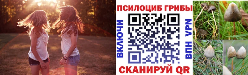 Купить где  Мантурово  Галлюциногенные грибы мухоморы 
